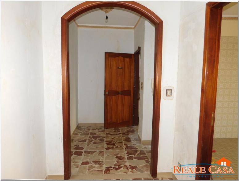 DSCN1932.JPG