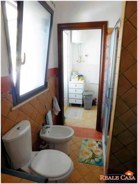 DSCN1996.JPG