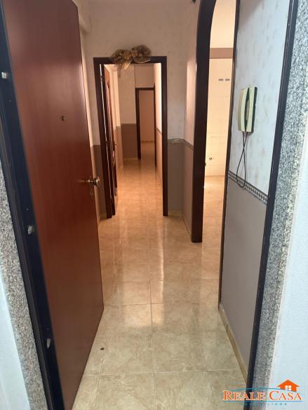efcc7da5-1186-46a1-9fa4-52c0cba91aa5.jpg
